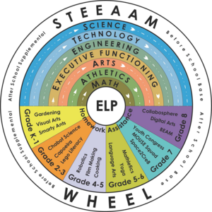 Science, Technology, Engineering, Executive Functioning, Arts, Athletics, Math (STEEAM) Wheel